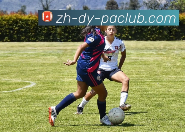 PA直营平台发展历程